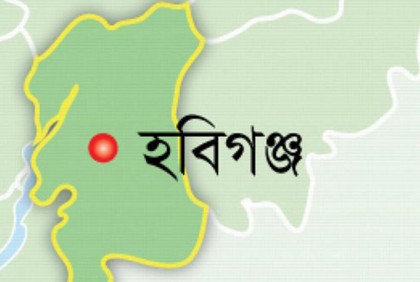 বন্যায় বিলীন ১৩ হাজার হেক্টর জমির আমন

