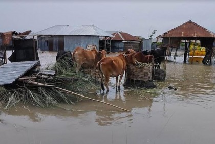 কুড়িগ্রামে দেড় লক্ষাধিক বানভাসীর দুর্ভোগ চরমে