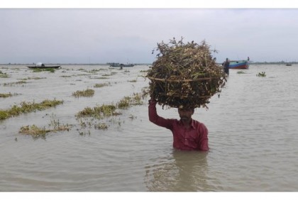 ফরিদপুরে বাড়ছে নদ-নদীর পানি