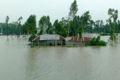 সারিয়াকান্দিতে বন্যায় ক্ষতিগ্রস্ত ৬ হাজার পরিবার