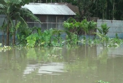 তিস্তা পাড়ের মানুষ দুর্ভোগে