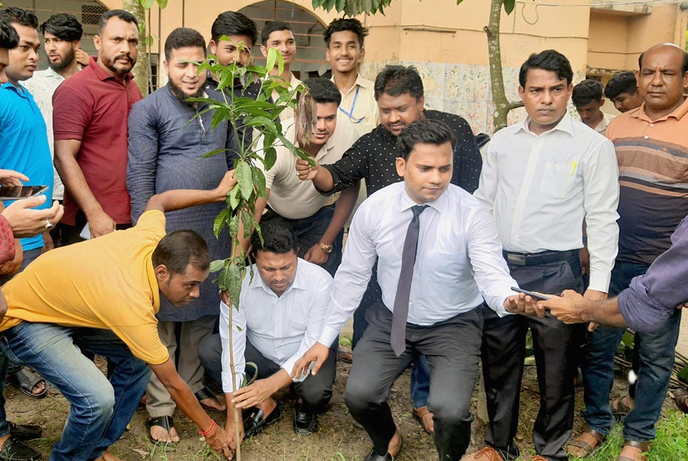 লক্ষ্মীপুরে যুবলীগের বৃক্ষরোপণ কর্মসূচি