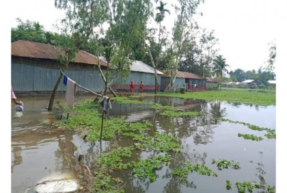 নীলফামারীতে তিস্তার পানি বিপৎসীমার উপরে