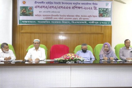 বারিতে গ্রীষ্মকালীন টমেটো উৎপাদনের কলাকৌশল বিষয়ক প্রশিক্ষণ 