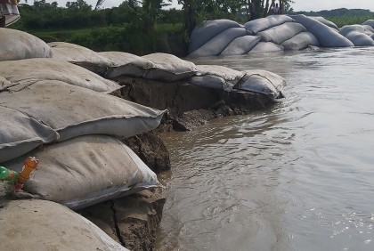 চরভদ্রাসনে পদ্মা নদীতে পানি বৃদ্ধি, বাঁধ এলাকায় ভাঙন