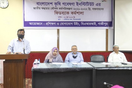 বারিতে শুদ্ধাচার কৌশল কর্মপরিকল্পনা বাস্তবায়নে কর্মশালা  