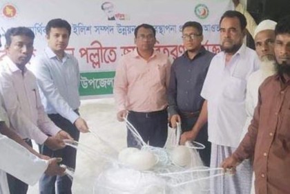 চাঁদপুরে জেলেদের মাঝে জাল ও উপকরণ বিতরণ