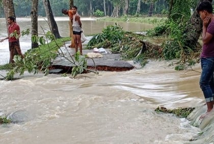 ফেনীর ফুলগাজী ও পরশুরামের বন্যা পরিস্থিতি উন্নতির দিকে 