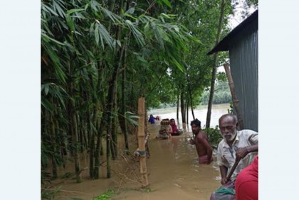 গোমতী চরের ৫০৯ পরিবার পানিবন্দি
