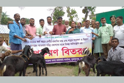 মুকসুদপুরে জেলে পরিবারের মাঝে ৪০টি ছাগল বিতরণ
