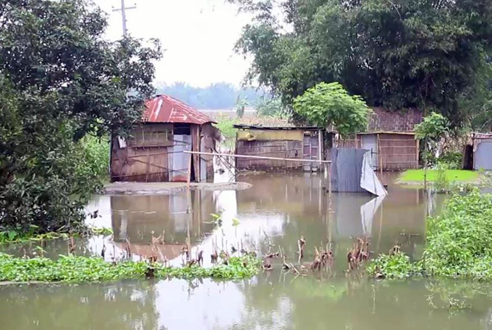 রংপুরে বন্যায় ১৮ হাজার হেক্টর জমির ফসল পানির নিচে
