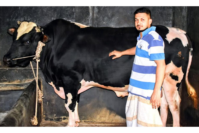 হিরো আলমের দাম ৮ লাখ টাকা