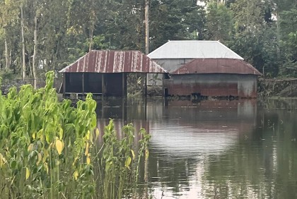 সিরাজগঞ্জে কমছে বন্যার পানি, বাড়ছে দুর্ভোগ