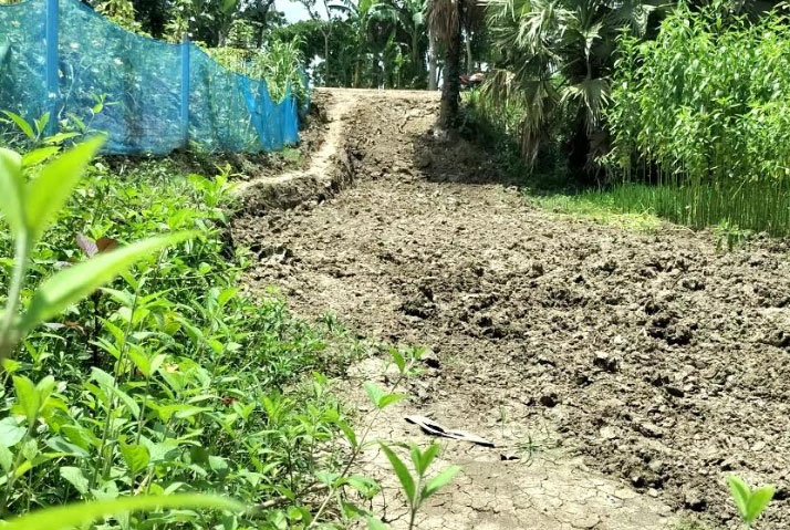 নগরকান্দায় সড়ক কেটে ফেলায় বিপদে ৩০ পরিবার