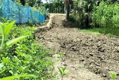নগরকান্দায় সড়ক কেটে ফেলায় বিপদে ৩০ পরিবার