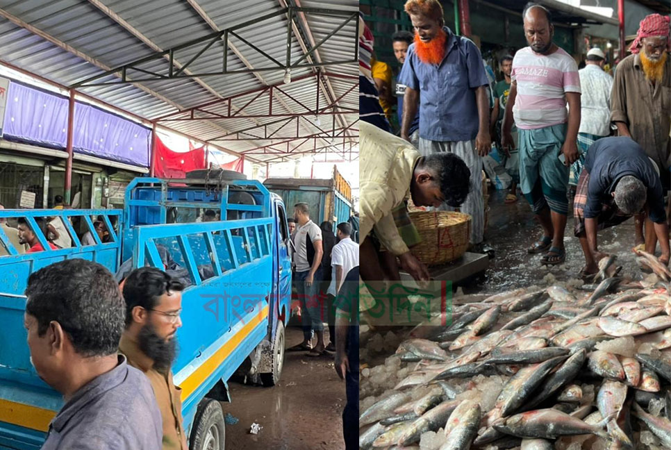 নিষেধাজ্ঞা সত্ত্বেও পোর্টরোড মোকামে ট্রাকে ট্রাকে আসছে ইলিশ 