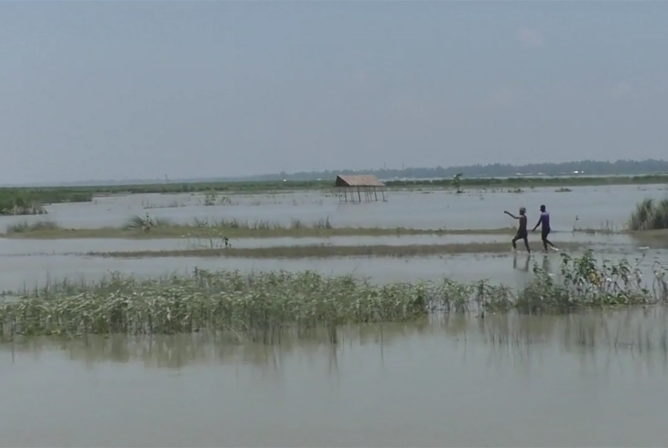 কুড়িগ্রামে বন্যার পানি কমলেও তীব্র নদী ভাঙন