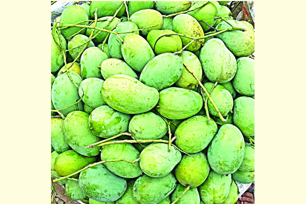 হাজার কোটি টাকার আমবাজার