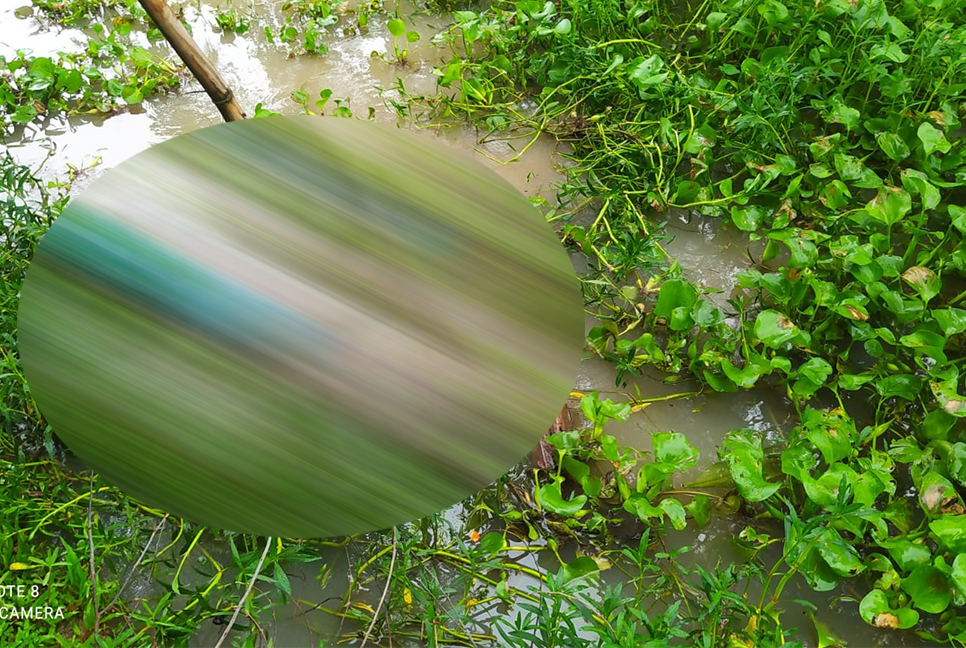 ডোবা থেকে কিশোরীর মরদেহ উদ্ধার