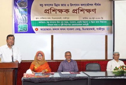 বারিতে কচু ফসলের উন্নত জাত ও উৎপাদন কলাকৌশল শীর্ষক প্রশিক্ষণ অনুষ্ঠিত