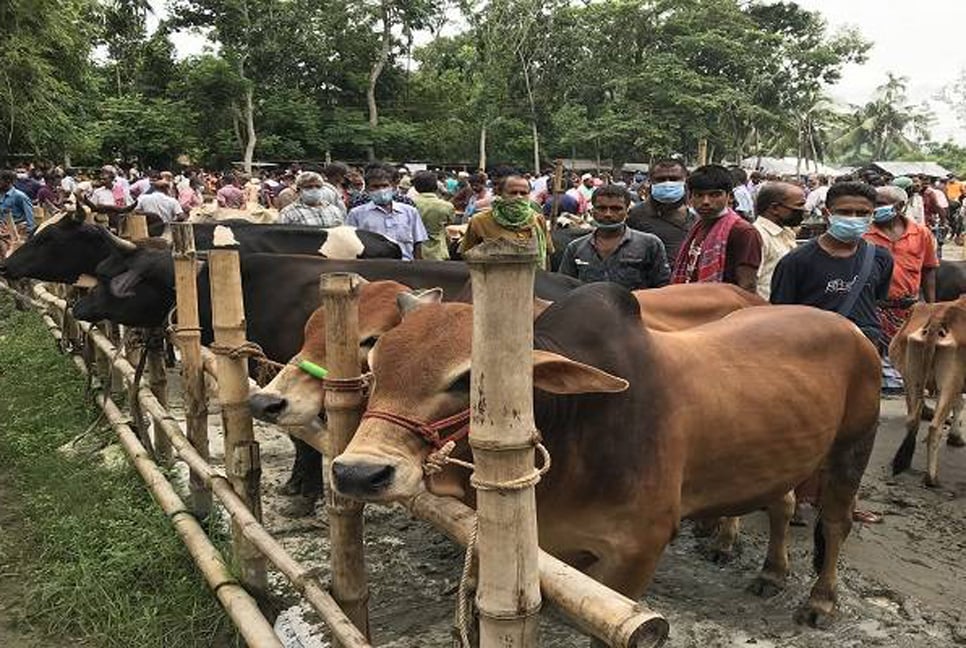 সারা দেশে বসছে ৪৪০৭ পশুর হাট, মাস্ক ছাড়া প্রবেশ নয়