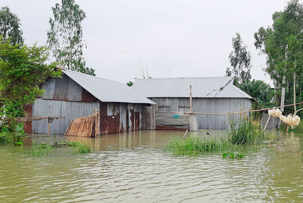 বগুড়ায় বন্যায় পৌনে ২১ কোটি টাকা মূল্যের ফসলের ক্ষতি