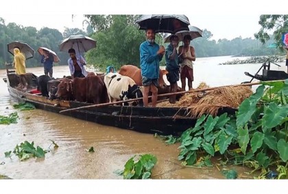 সুনামগঞ্জে বন্যার সঙ্গে ৯০ ভাগ মানুষের যুদ্ধ