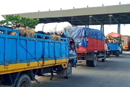 ‘ছুটির দিনে গাড়ির চাপ বাড়ায় পদ্মা সেতুর জাজিরা প্রান্তে যানজট’