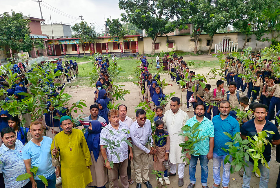 দিনাজপুরে যুবলীগের ৩০০ গাছের চারা বিতরণ