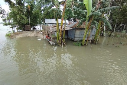 কুড়িগ্রামে বন্যা পরিস্থিতির উন্নতি