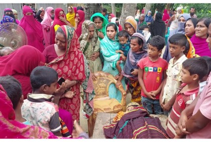 চুয়াডাঙ্গায় সড়ক দুর্ঘটনায় স্কুলছাত্র নিহত