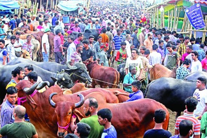 'সড়ক-মহাসড়কে বসানো যাবে না কোরবানির পশুর হাট'

