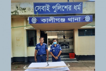 মহাসড়কে ডাকাতির ঘটনায় আটক ২, গাছ কাটা করাত উদ্ধার