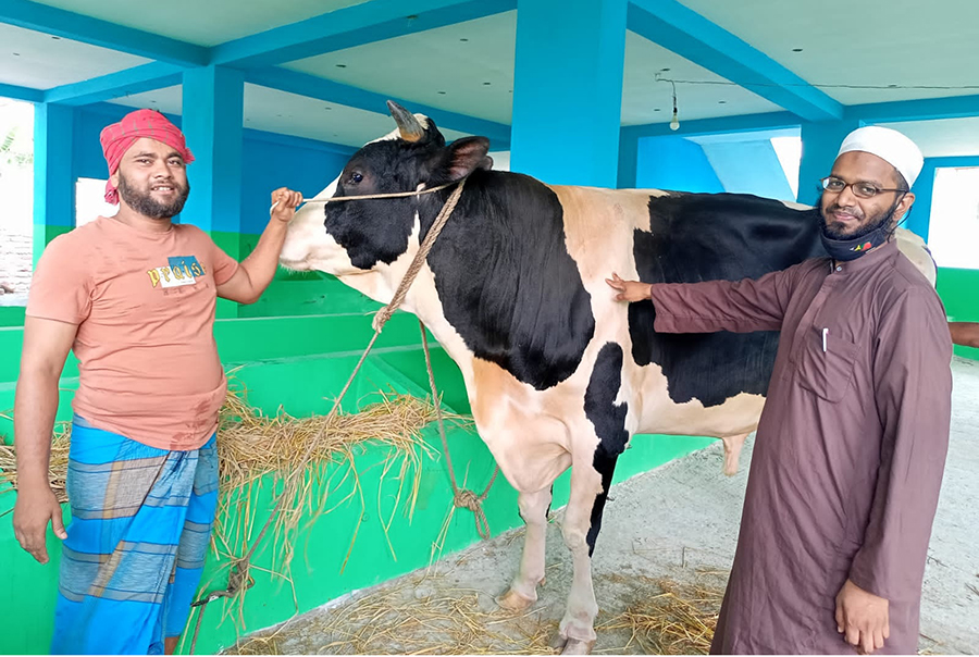 বরিশালে ৫৫ মণ ওজনের টাইগার দাম হাঁকা হচ্ছে ৩৫ লাখ টাকা