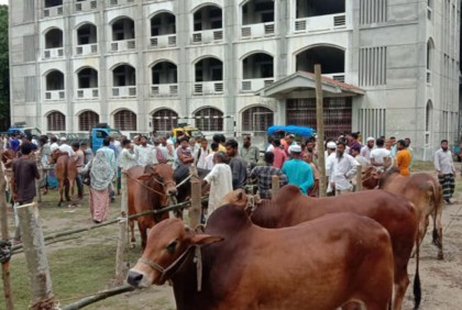 ফরিদপুরে স্কুল মাঠে পশুর হাট বন্ধ করলেন ইউএনও 