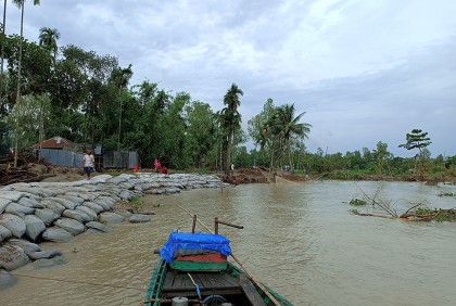 যমুনার ভাঙনে নিঃস্ব শত শত পরিবার