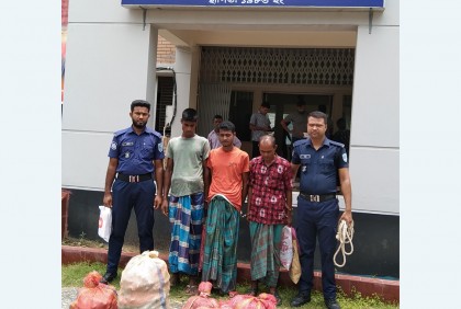 ফুলবাড়ী সীমান্তে মাদকসহ আটক ৩