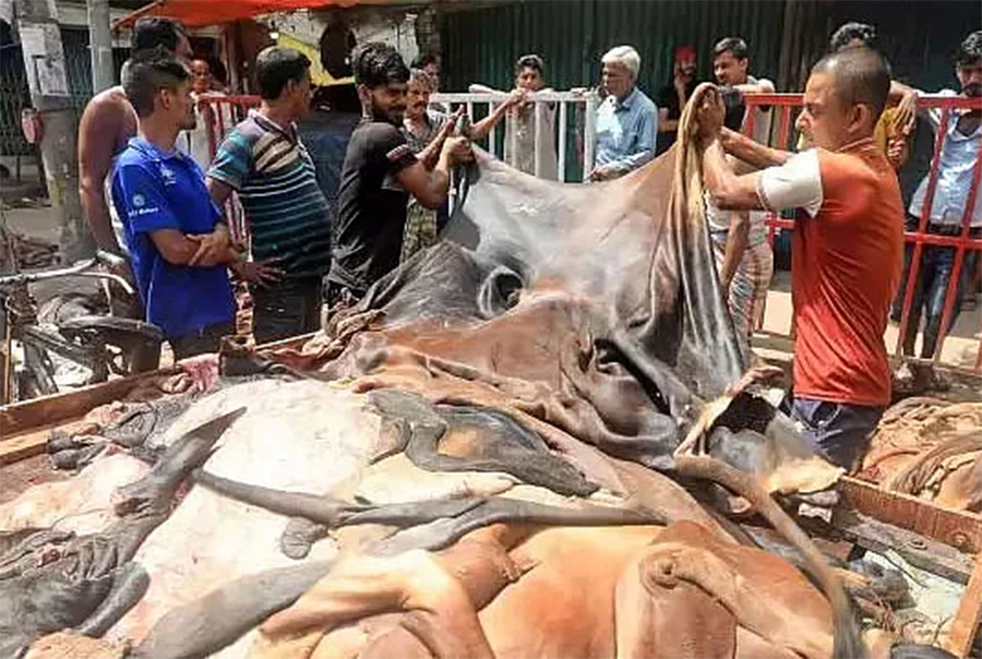 প্রতি বর্গফুট গরুর চামড়া ৪৭, খাসি ‌১৮ টাকা নির্ধারণ 
