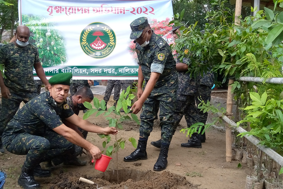 নালিতাবাড়ীতে আনসার ও গ্রাম প্রতিরক্ষা বাহিনীর বৃক্ষ রোপণ 