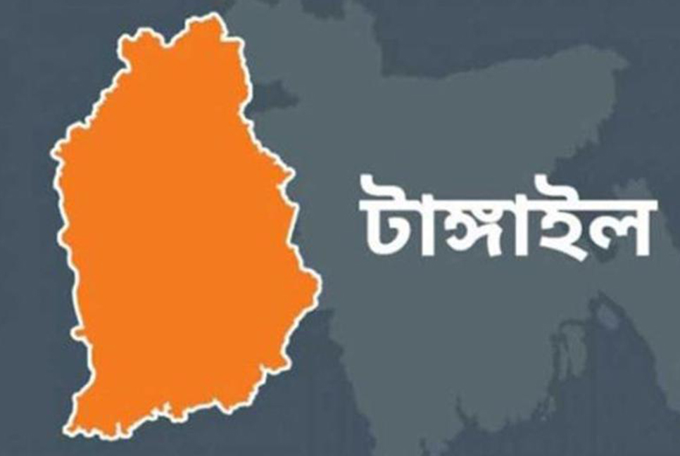 মেয়াদোত্তীর্ণ ভ্যাকসিনে ১৪০০ হাঁসের মৃত্যুর অভিযোগ