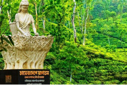ক্ষতির শঙ্কায় মৌলভীবাজারে পর্যটন ব্যবসায়ীরা