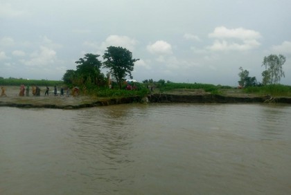 বগুড়ায় যমুনা নদীর পানি কমছে 