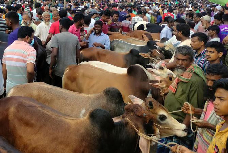 বগুড়ায় পশুর হাটে দ্বিগুণ খাজনা আদায়ের অভিযোগ