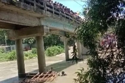 মানিকগঞ্জে গরু বোঝাই ট্রলার ডুবি