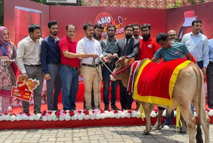 ‘মোজো হাম্বা ডাকো হাম্বা জেতো ক্যাম্পেইনে’ বিজয়ীদের ঠিকানায় গরু
