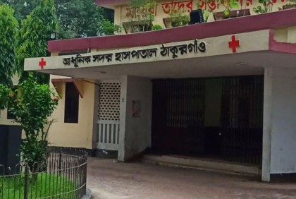 ঠাকুরগাঁওয়ে ট্রাক-পাগলুর মুখোমুখি সংঘর্ষে নিহত ২, আহত ৪