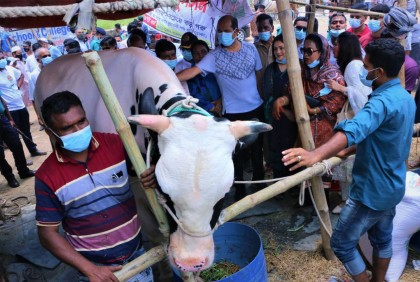 আফতাবনগর কোরবানির পশুর হাট পরিদর্শন করলেন ডিএনসিসি মেয়র 