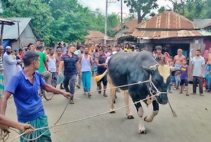 সাড়ে ৪ লাখ টাকায় বিক্রি হলো হিরো 
আলম
