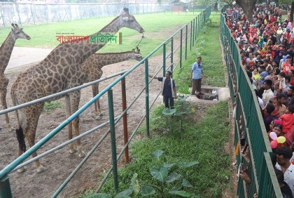 ঈদের তৃতীয় দিনেও মিরপুর চিড়িয়াখানায় ভিড়