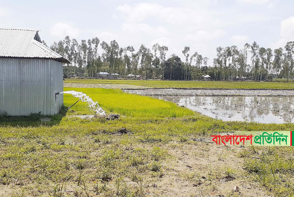 দুই দফা বন্যার পর প্রচণ্ড খরার কবলে কুড়িগ্রাম